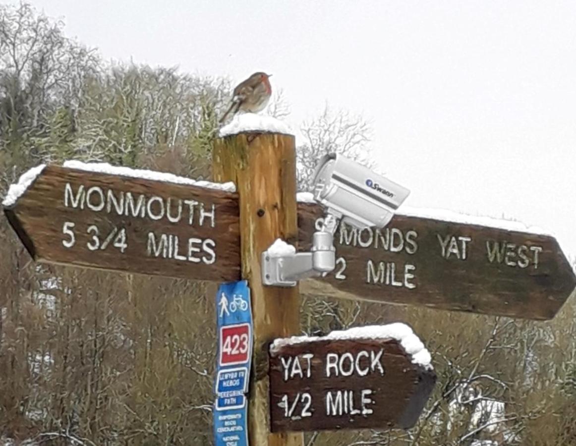 Wye Rapids House Bed and Breakfast Symonds Yat Esterno foto